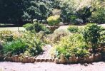 Foster Botanical Garden.jpg