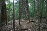 O'ahu: Kuli'ou'ou Ridge Trail