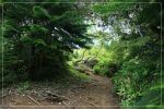 O'ahu: Kuli'ou'ou Ridge Trail