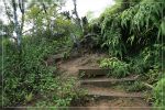 O'ahu: Kuli'ou'ou Ridge Trail