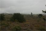 IMG_5285.JPG