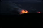 IMG_9250.JPG