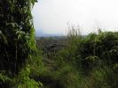 Kahaualea Trail11.jpg