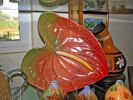 Kaukini Gallery2.jpg