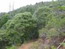Kukui Trail-3.jpg
