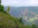 Kukui Trail-4.jpg