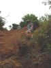 Kukui Trail-5.jpg