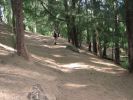 Kuliouou Ridge Trail7.jpg