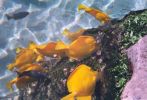 Maui Ocean Center.jpg