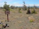 Mauna Iki Trail-1.jpg