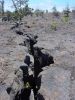 Mauna Iki Trail-2.jpg