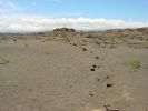 Mauna Iki Trail-4.jpg