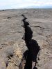 Mauna Iki Trail-5.jpg