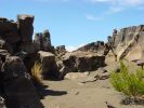 Mauna Iki Trail-8.jpg