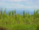 die "verbotene" Insel Ni'ihau