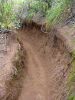 Nualolo Trail-2~0.jpg
