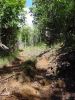 Nualolo Trail-3.jpg