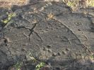 Petroglyphs
