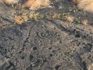 Petroglyphs
