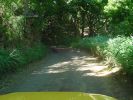 Piilany Hwy.-10.jpg