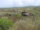 Piilany Hwy.-4.jpg