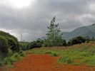 Powerline Trail North3.jpg