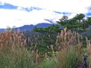 Powerline Trail south7.jpg