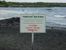 Punaluu Black Sand Beach-1.jpg