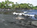 Punaluu Black Sand Beach5.jpg