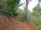 Sleeping Giant Trail-3.jpg
