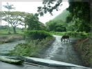 Big Island, Waipi'o Valley