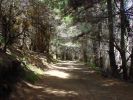 Waipoli Road-4.jpg