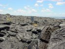 Wanderung zum aktuellen Lavafluss-4.jpg