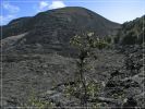 Big Island: Kilauea Iki Trail