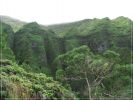 Maunawili Demonstration Trail Pali side