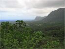 Maunawili Demonstration Trail Waimanalo side