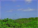 Ka'ena Point Trail