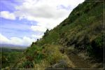 Kealia Trail
