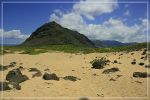 Ka'ena Point Trail
