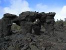 lava tree1.jpg