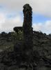 lava tree7.jpg