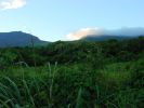 Pi'ilani Hwy.