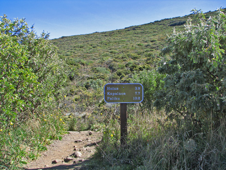 Halemau'u Trail

