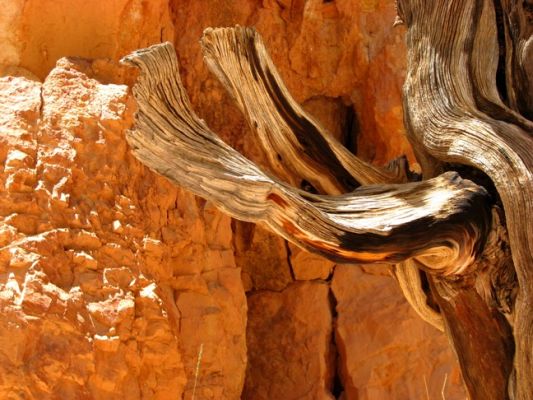 Bryce Canyon National Park
