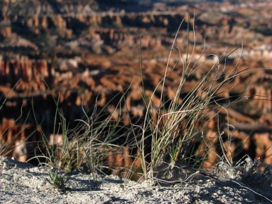 Inspiration Point, Bryce Canyon National Park
