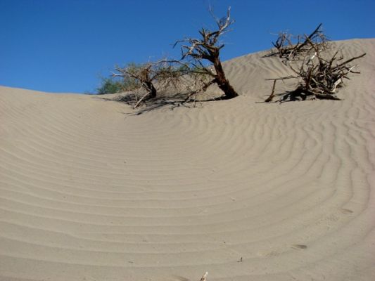 Sand Dunes, Death Valley National Park
