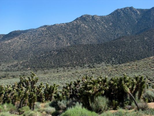 CA-178 near Onyx
