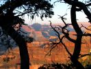 Sunset @ Grand Canyon National Park