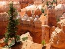 IMG_1358_Bryce_Canyon.JPG