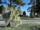 Sprinklers near Bryce Canyon National Park